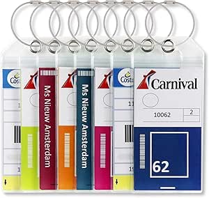 carnival lost luggage