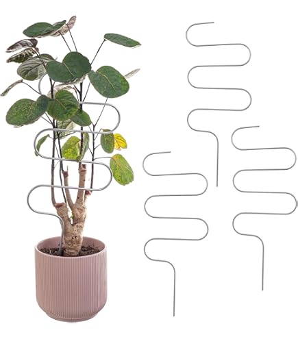 LEAFLO Hexa Line Klimhulp Voor Kamerplanten 58 Cm, Metaal