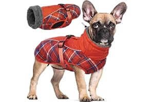 HJYOKUSO Wasserdichter Hundemantel Winter Warme Hundejacke, Hundebekleidung Outfit für kleine mittel große Hunde, Hundepullover mit Sicheren Reflexstreifen für Labrador Chihuahua Französische Bulldogge