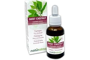‎NATURALMA Sweet chestnut lub Kasztan jadalny (Castanea sativa) Remedia kwiatowe Naturalma - Krople 30 ml - Płynny ekstrakt bezalkoholowy - Esencje kwiatowe - Wegański i bezalkoholowy