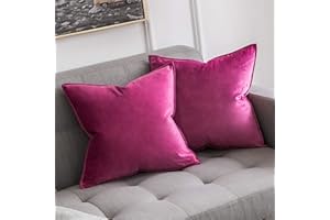 MIULEE Housse de Coussin en Velours Décorative Canapé Bordure Taie d'oreiller Super Doux Decoration Maison Salon Chambre pour Canapé Clic Clac 40 x 40 cm 16"x16",2 pièces Fushia