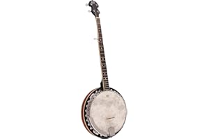 Barnes & Mullins BJ300 5 String Banjo