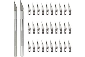 QEEQPF 2 Cutter di Precisione con 30 Lame Coltello da intaglio Pacco di Ricambio Coltello multiuso per Hobbistica Taglio Opere Stencil Arte Hobby Scrapbooking Stencil Intaglio Modellismo