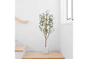 ‎PASCH PASCH® Künstlicher Olivenbaum (120 cm) - Stilvoll & Naturgetreu | Künstliche Pflanzen groß | Kunstpflanzen groß: Olive Tree | Olivenbaum künstlich groß für EIN mediterranes Ambiente