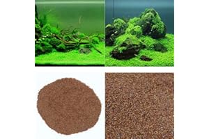 FASH LADY Portal Cool Fortunato Erba: Acquario Naturale Semi di Piante Fish Tank Felce Dolce Aqua Water Grass Live impianto