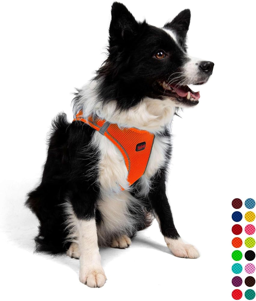 Tailpetz Air-Mesh Küçük ve Orta Irk Kedi Köpek Göğüs Tasması - Yumuşak, Nefes Alabilir, Dayanıklı (Neon-Turuncu, XLarge)