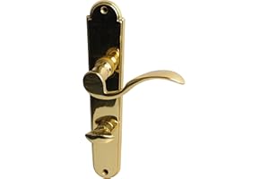 Alpertec 32212423 Panda-LS Messing poliert für Badtüren WC Drückergarnitur Türdrücker Türbeschläge Neu, für Badezimmertüren