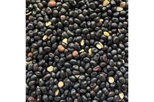 Il Contadino - Antichi Becchimi | FAVINO NERO AD USO ZOOTECNICO | Essenza di semi Selezionati e Super Ventilati, No OGM, 100% Vegetale, Assenza di scarti. Qualità Superiore (5 Kg)