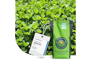 MRS SEEDS & MIXTURES Mikroklee Lawn Clover – 250 g for 75 m² – Displaces Weeds, Fixes Nitrogen – All Year Round Green Lawn – Drought Resistant – Suitable for All Lawn Types – Comparison Winner Very Good