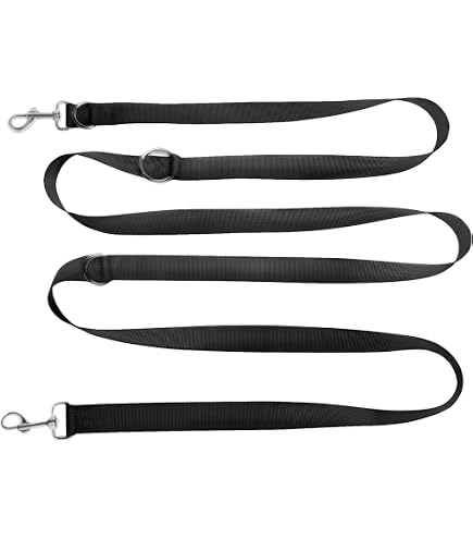 Schecker Hundeleine – Gummiert, Verstellbar, 2,5 M, Wasserabweisend, Mit 2 Karabinern (1,5 Cm Breite)