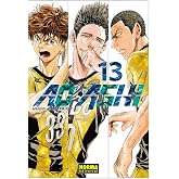 AO ASHI 13