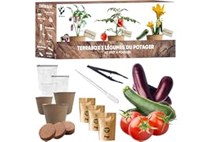 NOPALIA Kit Potager Prêt à Pousser – Graines Bio (Tomate, Courgette, Aubergine) – Jardin Intérieur & Extérieur – Cadeau Original Jardinage DIY – Décoration Écologique – Made in France