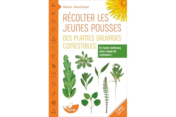 Récolter les jeunes pousses des plantes sauvages comestibles - En toute confiance, sans risque de confusion !