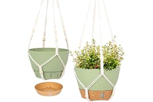 QCQHDU 2 Pack Macrame Plant Hanger Hanging Planters Set,25.4cm Indoor Outdoor Hanging Plant Pot Basket,Hanging Flower Pot with Drainage Hole for Garden Home(Green)…