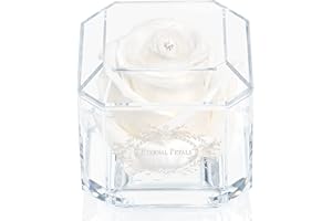 A 100% Real Rose That Lasts Years - Eternal Petals, Handmade in UK – White Gold Solo with A Multicolor Crystal (White)