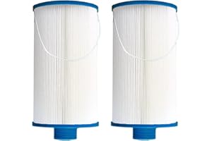YANHUA Spa Filter Replacement for Watkins 303279, Filbur FC-2402,PFF42TC-P4, AquaTerra Hot Tub Filters, 1 1/2" MPT Fine Thread, Easy To Clean (2pcs)