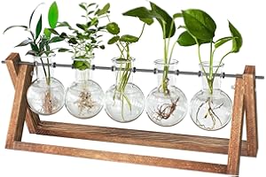 cfmour Plant Terrarium with Wooden Stand, Desktop Propagation Stations Glass Air Planter Metal Swivel Holder for Indoor Live Hydroponics Plants Office Home Garden Decor (5 Bulb Vase)