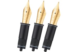 Asvine Wymienne stalówki do pióra wiecznego, 6 pozłacanych stalówek EF/F/Medium V169, P20, P30 i V126