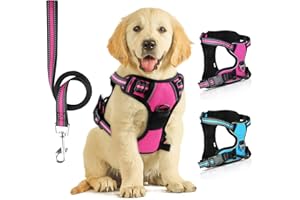 SIBOTER Pettorina Cane Taglia Media/Grande Regolabile, Traspirante Con Guinzaglio, Antifuga Per Corsa, Passeggiate, Jogging (L, Rosa)