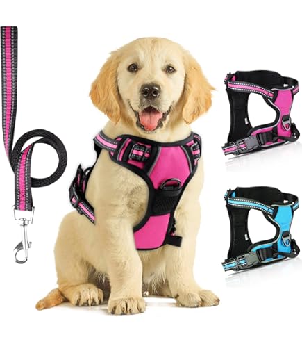 Joytale Instapharnas voor honden, reflecterende ademende tuigjes uit zachte mesh, Easy Walk-harnas met veiligheidsgesp voor kleine en middelgrote honden, L, felroze