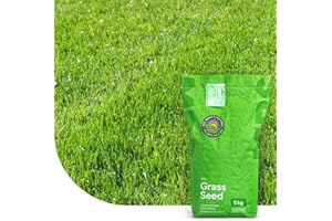 MRS SEEDS & MIXTURES Turbo Green: Semence Gazon Regarnissage | 5 kg - 250 m² | Germination rapide | Gazon dense et bien vert | Grande tolérance au piétinement