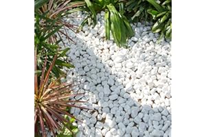 STRATA STONES Polar white stone Pebbles Decorative Gravels Aggregates Natural tumbled smooth stones Mix size 20-40mm, 5 kg
