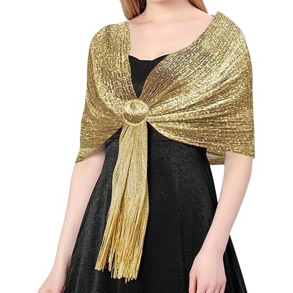 AKSHAR LLC Vrouwen geborduurde chiffon sjaal sjaals & wraps voor