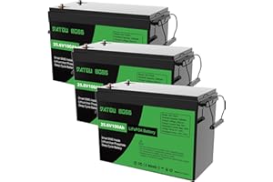DATOUBOSS 24V 100Ah LiFePO4 Lithium Battery, 2560Wh Energy, Up to 10000+ Deep Cycles Lithium Battery, 100A BMS Protection for Solar System, RV, Boat, Household, Solar Panel Set and Camping, 3pcs