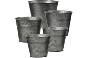 Oairse Lot de 5 Pots de Fleurs Vintage en Acier galvanisé - Parfaits pour la décoration Moderne et Rustique et la décoration de Plantes - pour l'intérieur et l'extérieur