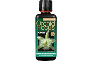 Growth Technology Orchid Focus Waxing 300 ml, Black, 5.5 x 5.5 x 16 cm, 05-210-175