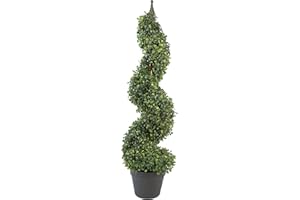 Leaf Design UK Buxus - Alberi a spirale in legno di bosso, 90 cm, Buxus