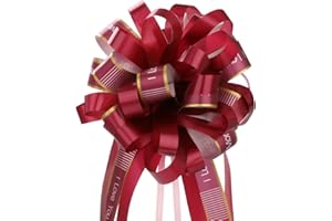 EDATOFLY 10 Piezas Lazos Regalos Grandes, Lazos Grandes para Navidad, Bodas, Fiestas, Decoración del Día de San Valentín y Envoltura de Regalos de (Vino Tinto)