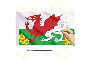 HONMOK 5 x 3Ft Welsh Flag Wales Dragon Flag St David's Day Decorations St Davids Day Crafts for Kids Cymru Welsh National Flag Party Decor for World Cup Nations Rugby Football Sporting Events