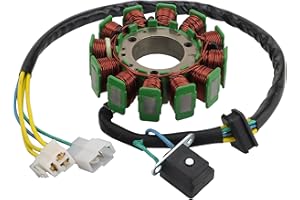 WOOSTAR 12 Bobinas Estator Magneto Reemplazo para Hyosung GT125 GT250 GV125 GV250 GV125R GV250R Pocket Bike Cruiser Motorcycle 2002-2010 Motor