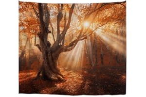 A.Monamour Arazzo da Parete Mandala Autunno Autunno Mattina Vecchio Albero Magico Incantato con Raggi di Sole Foresta Arancione Nebbiosa Scenario Naturale Telo Tessuto Tenda Arazzi Murale Decorazione