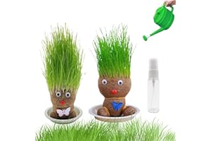 BAISHUWU Giocattolo per Crescita Capelli D'erba, Bambola Testa Crescita, Vassoio Bonsai (M2)