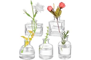 Förpackning med 5 små vaser för bordsdekoration, små glasvaser, blomvaser, glasbordsvaser, minivaser, minivaser för bordscent