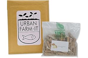 Urban Farm-It Lion’s Mane Mushroom Plugs (50) | Ready to Inoculate in Log (Log NOT Included) | Gardening Gifts for Women, Men & Kids | Fun, Easy to Use & Delicious to Eat | Sustainable & Reliable
