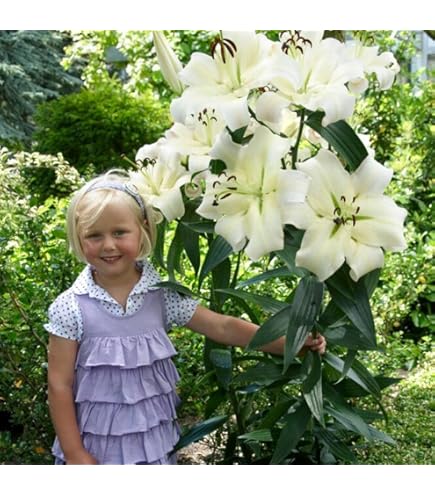 Ofisdagi ziyofatda jinsiy aloqa Qizlarga eng yoqadigan jinsiy pozitsiyalar