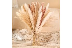 Janice Ky 60Pcs 65cm Natural Dried Pampas Grass with 3 Kinds of Color Fluffy and Swinging DIY Boho Plant for Wedding Flower Arrangements Home Decor