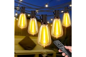 Light-Brightly 15m/50FT Catena Luminosa Esterno con Telecomando, Luci da Esterno Giardino Dimmerabile con 17+1 ST38 LED Lampadine di Ricambio 2700K per Illuminazione Gazebo Esterno Patio Jardin