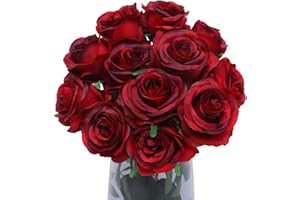 Floralsecret - Juego de 12 Rosas Artificiales de Seda con Tallo Largo para decoración del hogar, Boda, Fiesta, jardín, Vino Tinto