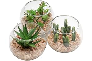 Briful Planta artificial suculenta artificial para interior de salón o baño, altura 8 cm, en maceta de cristal, juego de 3 unidades