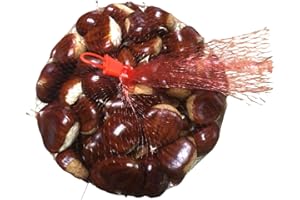 GOURMET BOX ZAMORA Castañas Naturales Frescas Ecologicas de Zamora en la Sierra de la Culebra recogidas a mano (1 Kg.)