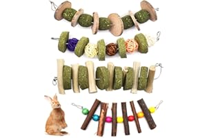Yueser Jouet à Mâcher Lapin, 4 Pièces Animaux Jouets à Mâcher Bâtons de Pomme en Naturel pour Lapins Chinchillas Hamsters Cochons d'Inde