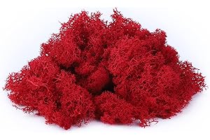 IHKFILAN Iceland Moss for Crafts, Moss Plants, Decorative Moss Wall, Live Preserved, Durable Natural Moss Decorative Moss for Easter, Model Making (Red, 100 g)