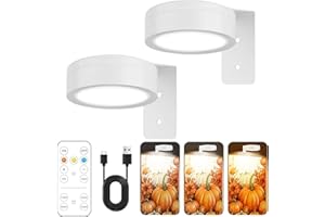 MEYUXG 2 Stück Bilderleuchte Kabellos, Magnetisches Mallicht mit 3 Beleuchtungsmodi Bildbeleuchtung Kabellos Led Spot Akku, Bilderleuchte mit Fernbedienung und Timer Kunstleuchten für Malen Foto (Weiß)