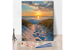 TISHIRON Zestaw do malowania po numerach dla dorosłych, ręcznie malowany obraz olejny dla początkujących i dorosłych, z 3 pędzlami i farbą akrylową, bez ramy, 40 x 50 cm (zachód słońca nad morzem)