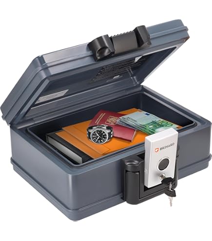 ARREGUI Bric C9547 Mallette | Caisse à Monnaie Et Billet Ouverture Electronique Pour Ranger Et Transporter Argent Document Coffre Fort Avec Poignee 84733719