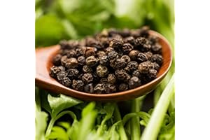 Luojuny Graines de Poivre, 50 pièces/Sac graines de légumes à Croissance Rapide Non OGM Jardin arrière-Cour Poivre Noir Plantation graines Fournitures ménagères des graines